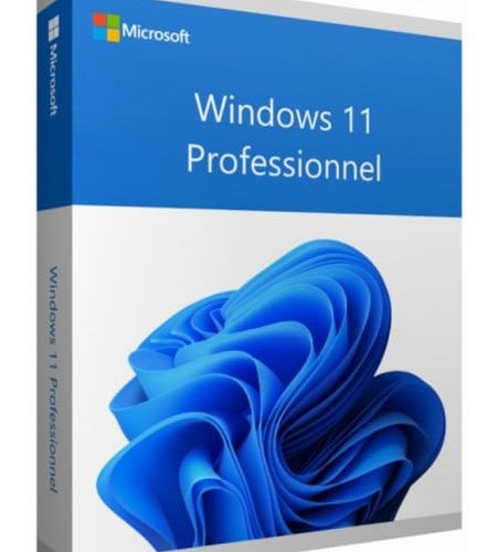 Microsoft Windows 11 Professionnel 64 bits Français (Licence originale + DVD) (FQC-10532)